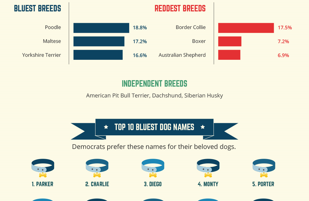 Excerpt of the Rover pet breed / name infographic
